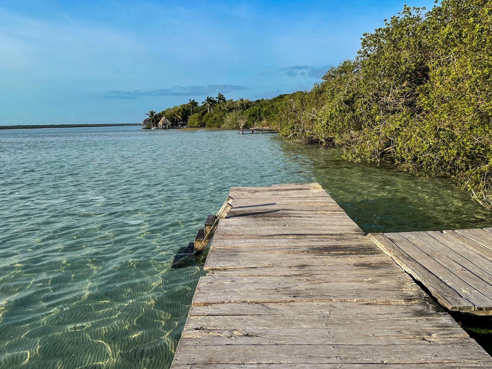 Bufo Alvarius Sanctuary Bacalar Buenavista  Luaran gambar