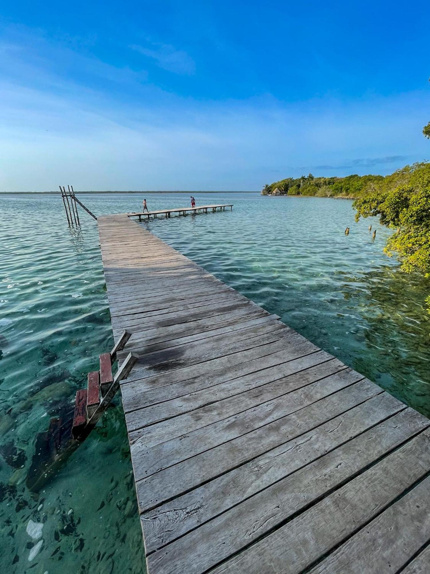 Bufo Alvarius Sanctuary Bacalar Buenavista  Luaran gambar