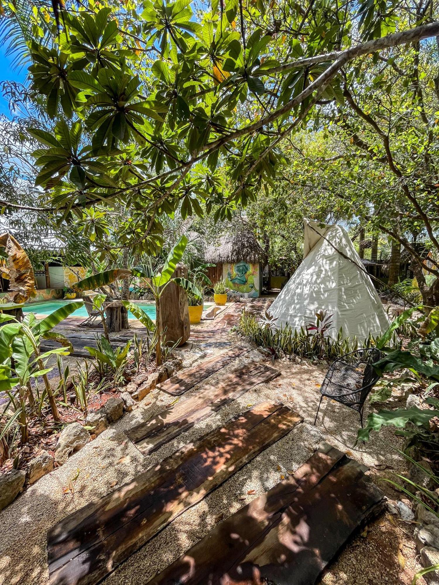 Bufo Alvarius Sanctuary Bacalar Buenavista  Luaran gambar